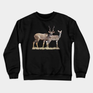 Lesser Kudu - Pair, Antelope, Kenya / Africa Crewneck Sweatshirt